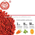 Bayas de Ningxia Goji Secado gou qi zi nutrición Fruto de níspero rojo Barbary wolfberry